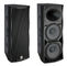 Durable High Power Passive PA System 1000 Watt 15 Inch 2 Channel supplier